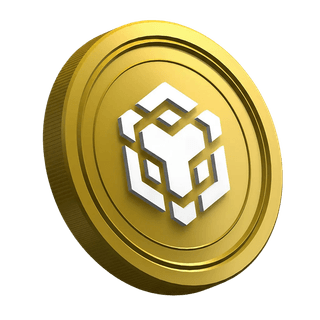 BNB Binance cryptocurrency coin displayed on a new trader guide page