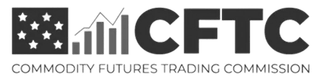 Regulatory financial license officially certifying Futuristic Vestix operations